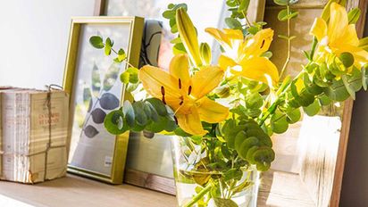 Objetos decorativos funcionales y de moda