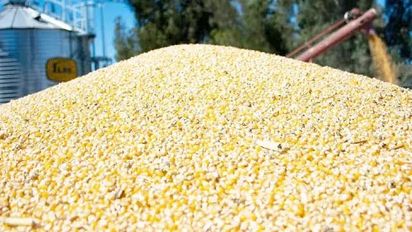 Córdoba alcanzará una cosecha récord y aportará un tercio del volumen nacional