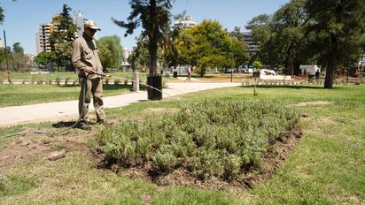 Suman más de 30 mil árboles en un nuevo pulmón verde de Córdoba
