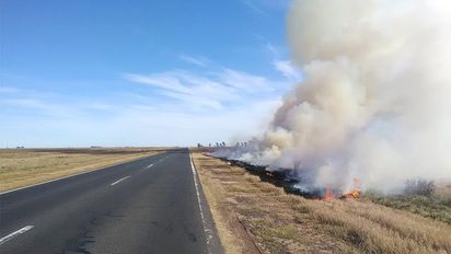 Lo denunciaron por originar incendios en ruta 7 y fue detenido