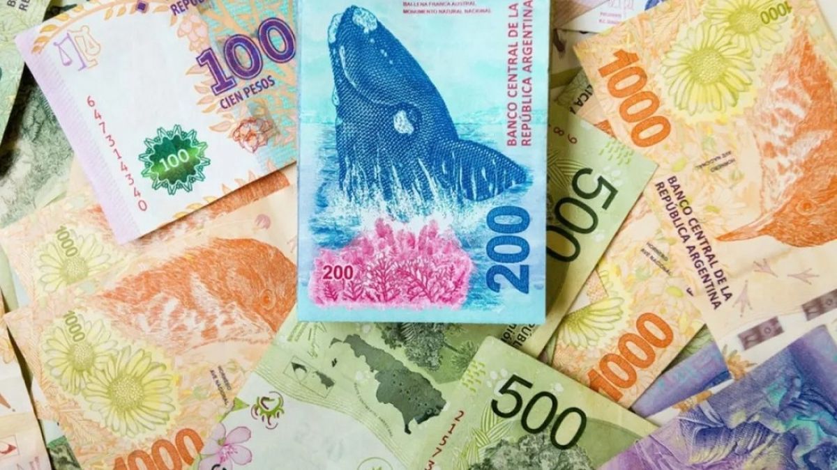 Los billetes de circulación vigentes se agrandarían en los próximos meses con el de $2 mil que anunció el Gobierno. Pero