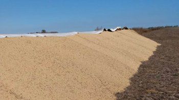Laboulaye: rompen un silobolsa con más de 100 mil kilos de soja