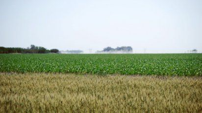 Bioeconomía, una estrategia para reducir el estrés sobre el ambiente