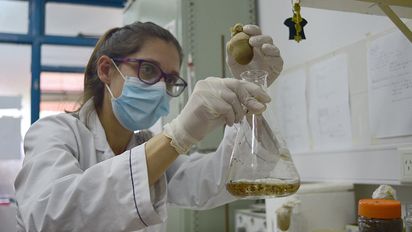 Quitan metales tóxicos del agua con residuos de la producción de cerveza