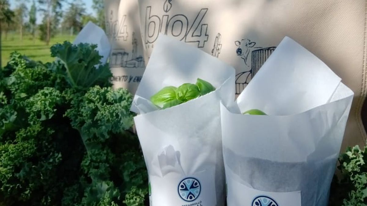 El programa de Huerta Sustentable cumplió cuatro años.