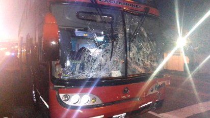 Un colectivo chocó contra tres equinos en la ruta 36