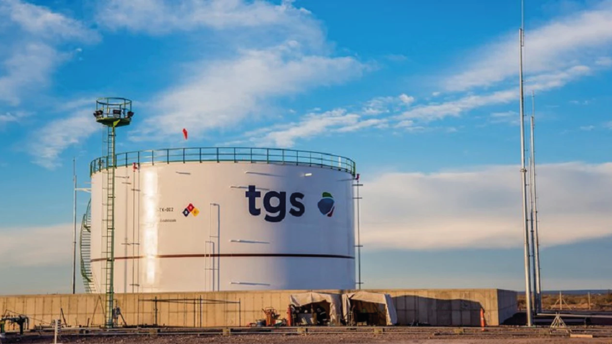 TGS_ Transportadora de Gas del Sur_Puntal.png