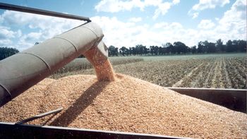 INDEC informó superávit 