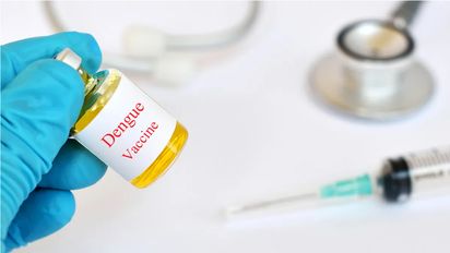 Nueva vacuna contra el dengue: 