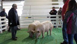 La jornada “granadera”