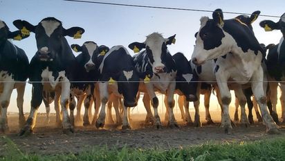 Lechería circular: producir con eficiencia y sostenibilidad, es posible