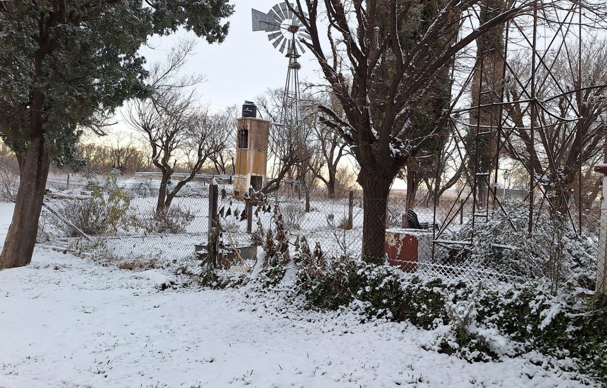 Postales de la nieve en los campos de la región