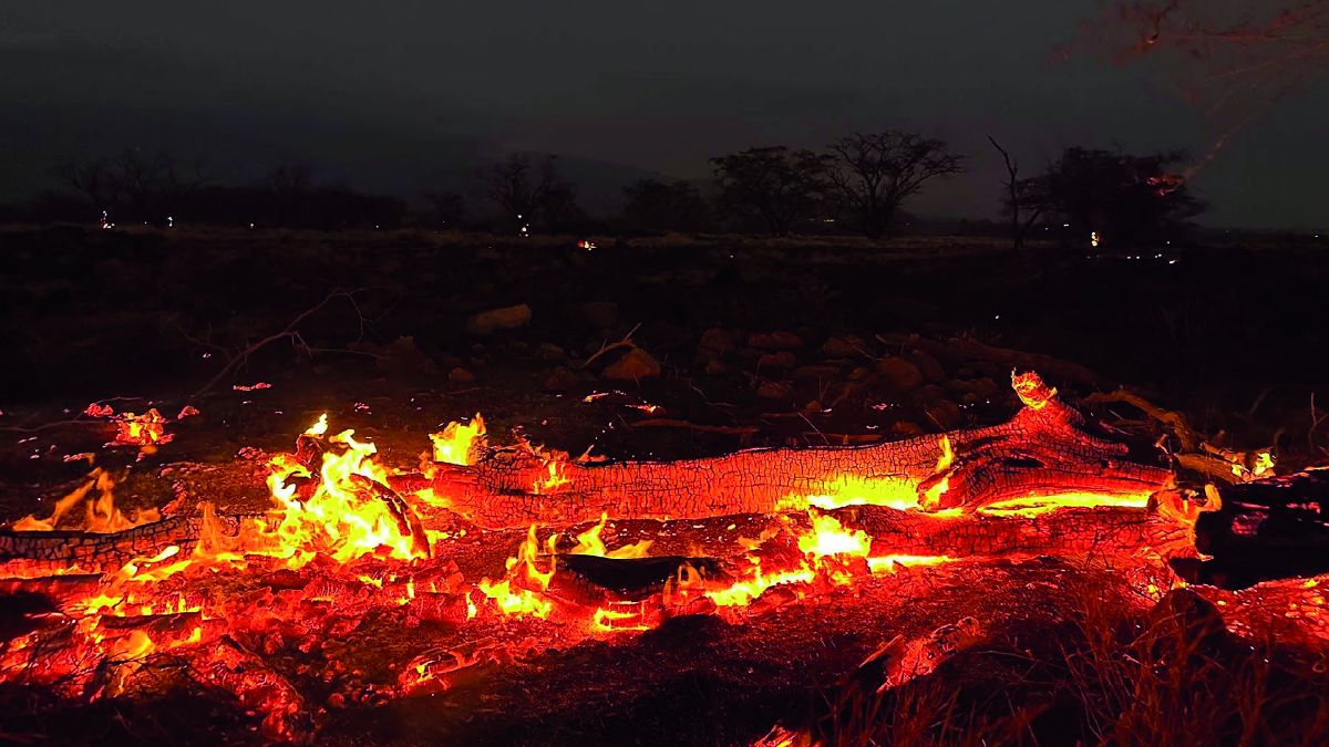 Hawái: El número de personas fallecidas por los incendios forestales subió esta semana hasta 110
