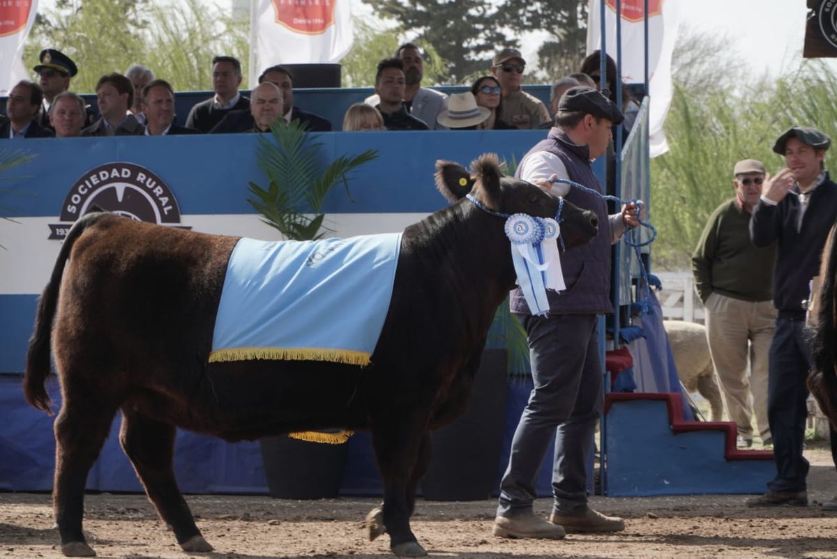 Mirá todo lo que dejó la 91° exposición de la Rural de Río Cuarto