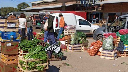 Investigarán al mercado de abasto local para avanzar en una política frutihortícola