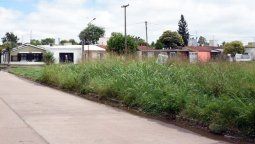 Ya intimaron a un centenar de vecinos por baldíos con malezas