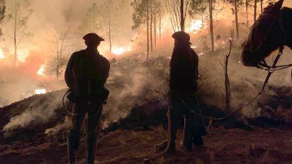 Febrero, mes clave para la remediación en las sierras después de los incendios