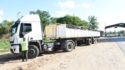 Decomisan granos y cueros vacunos de camiones procedentes de Córdoba, Salta y Buenos Aires
