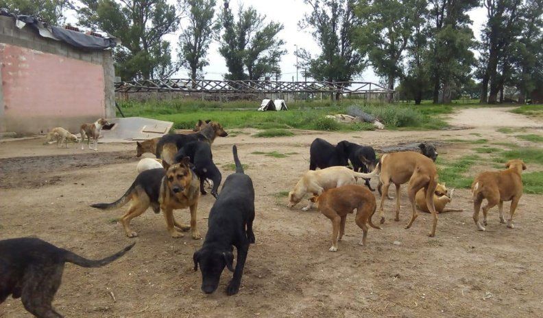 Albanesi resaltó tanto el compromiso de las autoridades como el respaldo de los vecinos a cada acción, ya sean rifas o venta de productos.