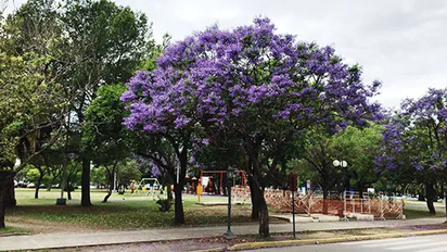 El tiempo mejora en Villa María y la temperatura llegará a los 29°C durante la semana