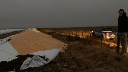 Nuevo ataque a un campo, ahora cerca de Bruzone: dañaron dos silobolsas