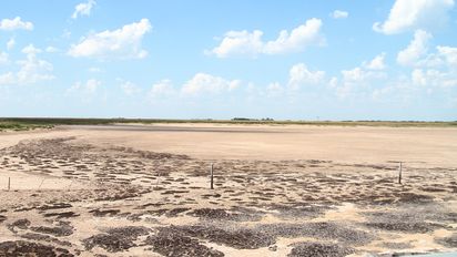 El Niño sigue demorado y la falta de agua domina todo el escenario