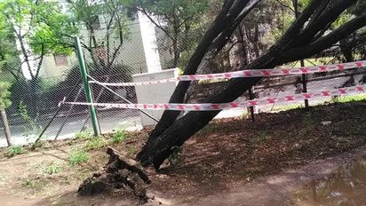 Fuerte temporal en Córdoba: hubo evacuados e interrupción de servicios