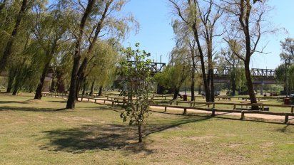 Se abrió una convocatoria a voluntarios para plantar mil árboles en la Costanera sur