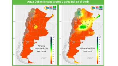 La zona de Río Cuarto, la que mejor panorama tiene