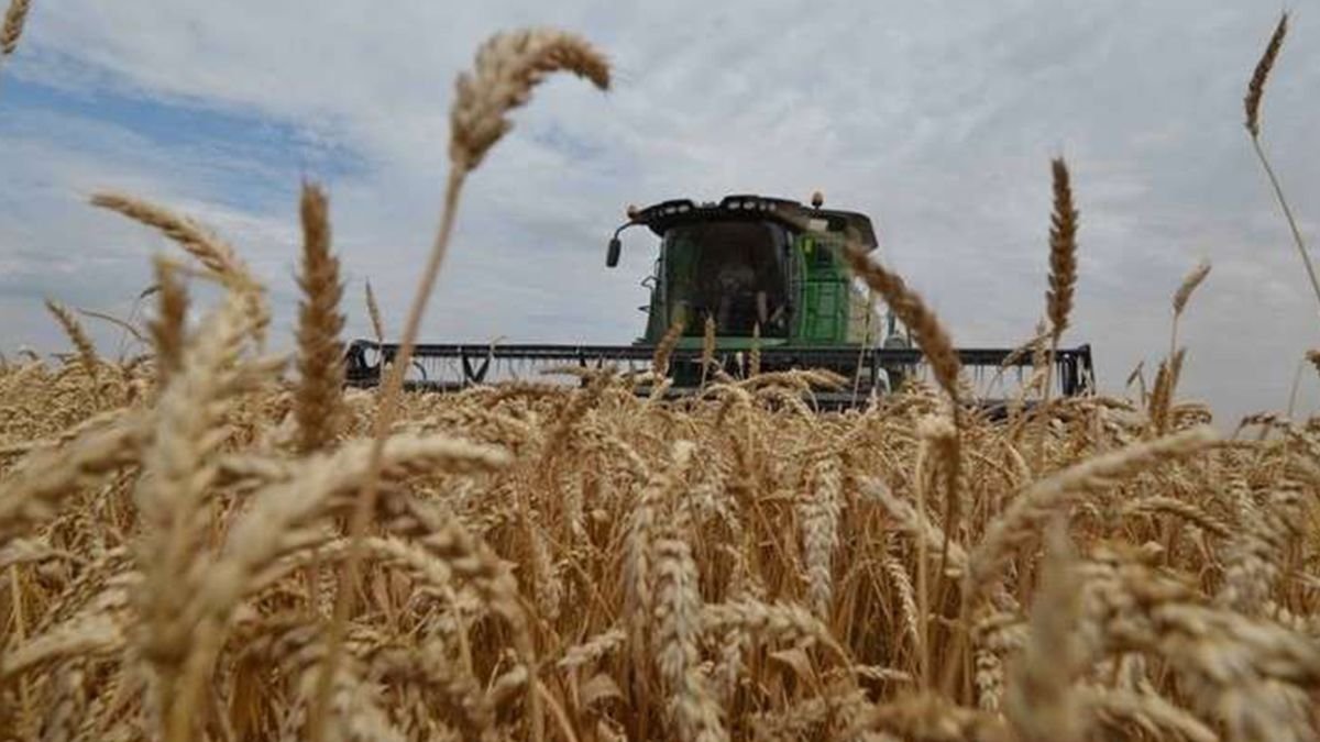 productor de soja.jpg