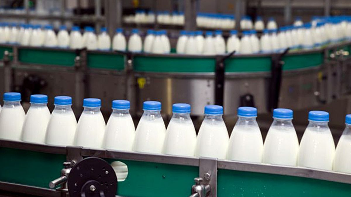 Los precios de los productos lácteos en su versión mayorista (salida de fábrica: al que vende la industria)