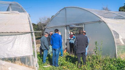 Adelia María: proyectan la creación de un vivero agroforestal