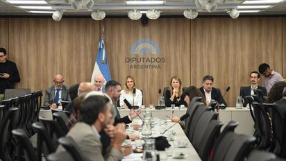 Diputados retoma el debate sobre los pedidos de informes al Gobierno por el caso coimas