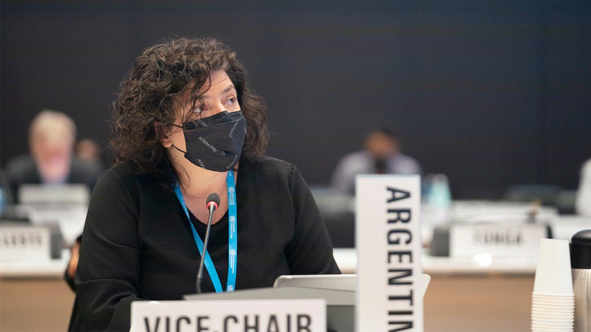 Carla Vizzotti expuso ante el Consejo Ejecutivo de la OMS.