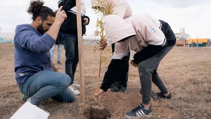 Día del Árbol: avanza la forestación y este año se llegará a 15 mil ejemplares
