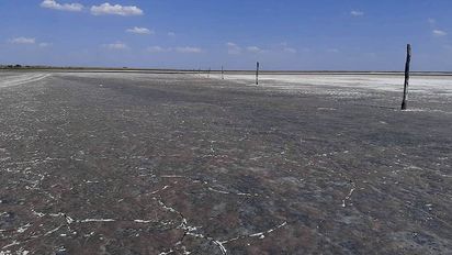Por la sequía, la laguna La Brava se secó y ya no quedan flora ni fauna