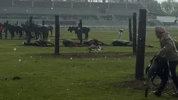 un rayo mato a cuatro yeguas de polo en el jockey club de san isidro