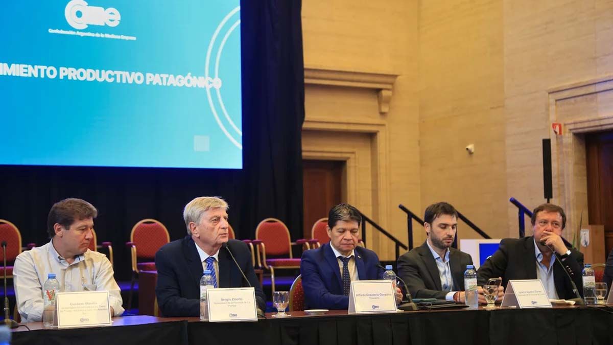 gobernadores patagonicos