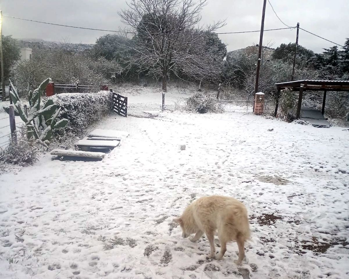 Postales de la nieve en los campos de la región