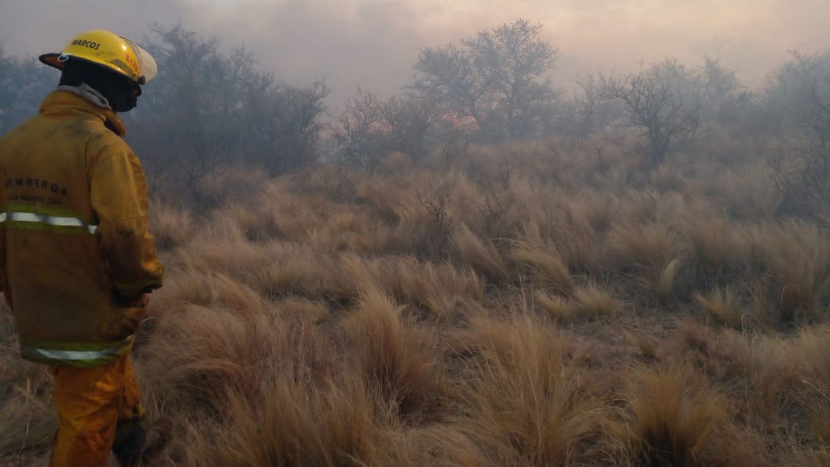 El último domingo se quemaron 250 hectáreas de bosque nativo perteneciente al Corredor del Caldén.