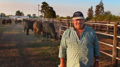 Nuevo Test del Río Quinto: los toros Angus inician otra vez el desafío