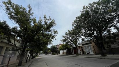 Piden flexibilizar  la poda de árboles