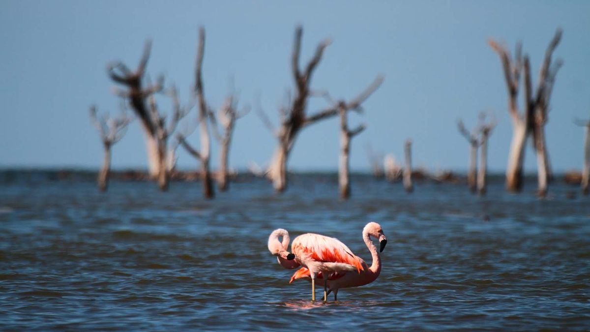 El parque se emplaza en el noreste de la provincia de Córdoba.