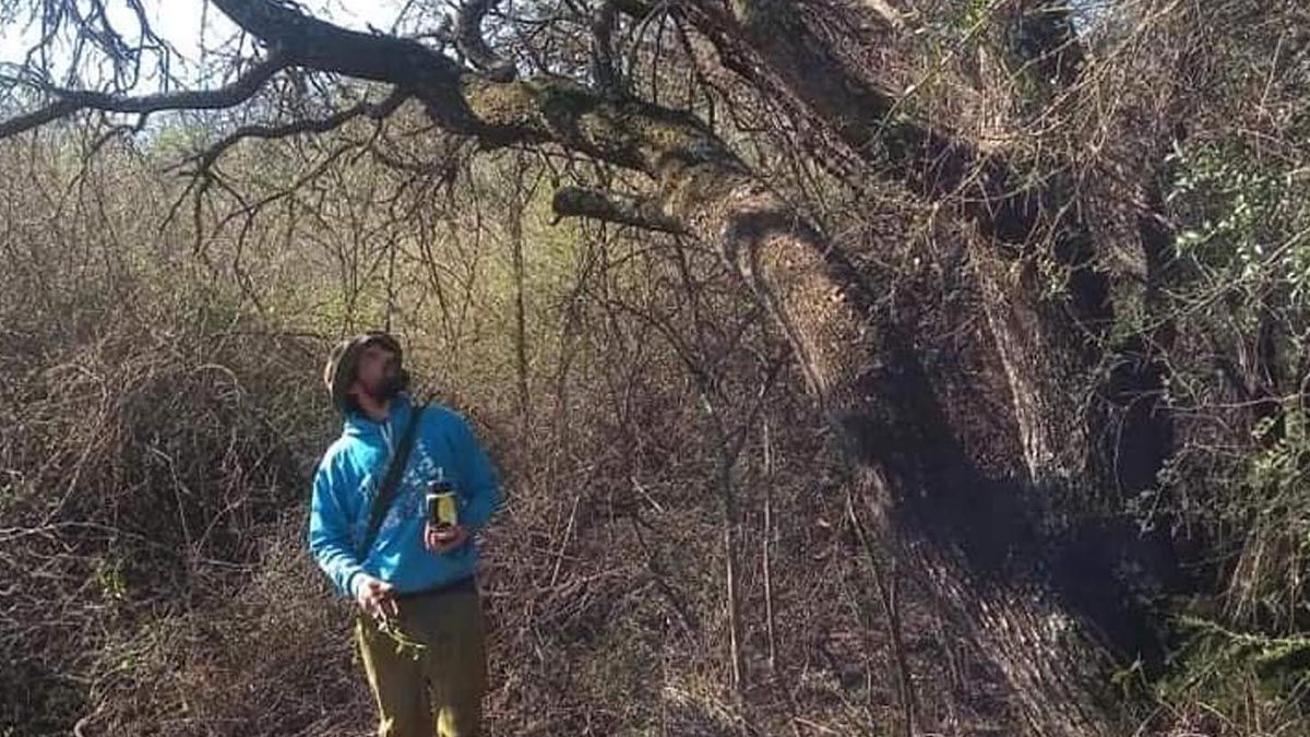 El productor Ignacio Vanelli trabajó en uno de los últimos relictos de caldenes, ubicados&nbsp; en zona de Villa Valeria.