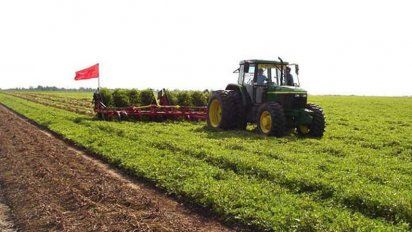 El maní, aun como economía regional, ahora pagará el doble de retenciones