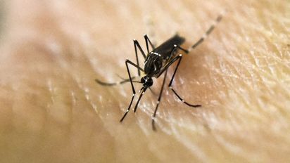 Brasil supera por primera vez los 2.000 fallecidos por dengue