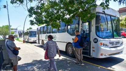 Más frecuencia en el transporte público: son 12 líneas habilitadas