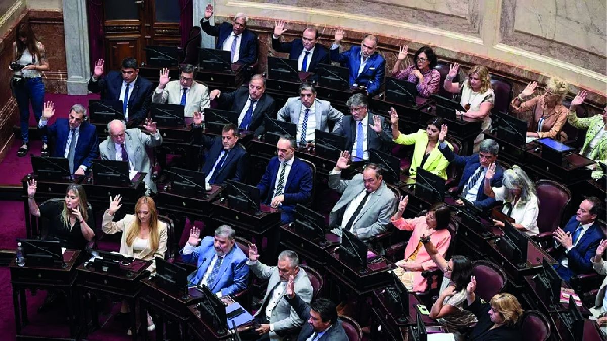 Senado _ extraordinarias-.jpg