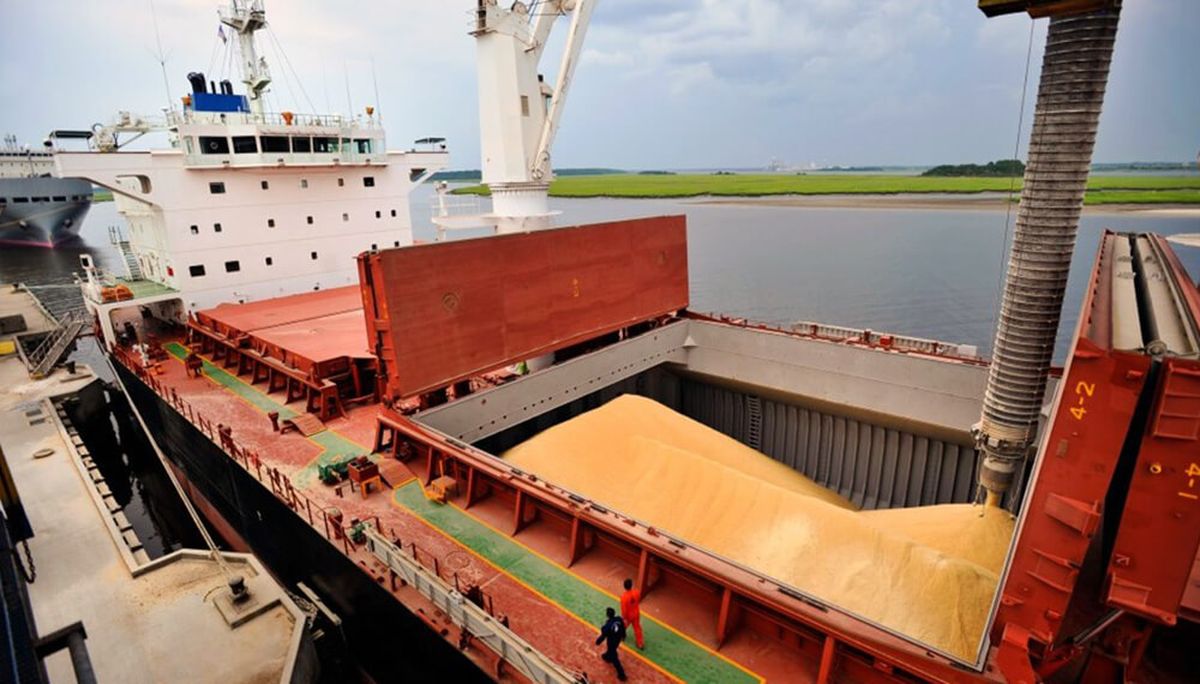 Exportaciones agroindustriales crecieron 4,5% en el primer semestre