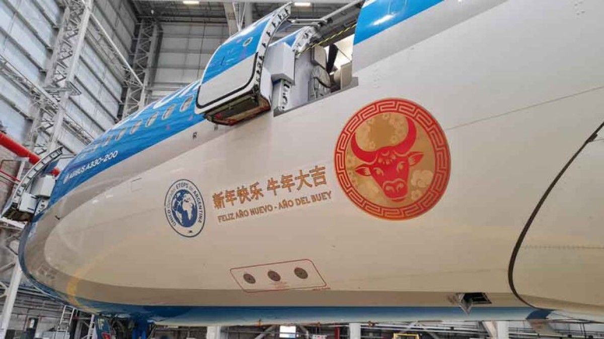 Llegó un avión de China con 384 mil vacunas: habrá dos vuelos más hasta completar el millón de dosis